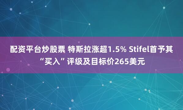 配资平台炒股票 特斯拉涨超1.5% Stifel首予其“买入”评级及目标价265美元