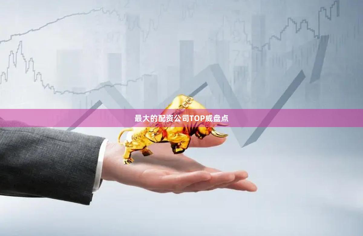 最大的配资公司TOP威盘点